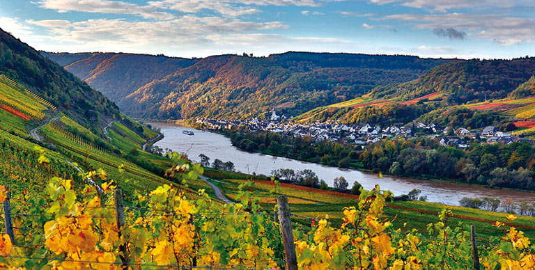 The glittering Moselle set against autumnal scenery